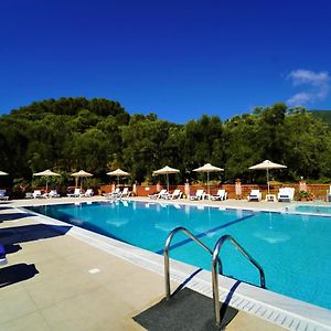 Angelika Hotel